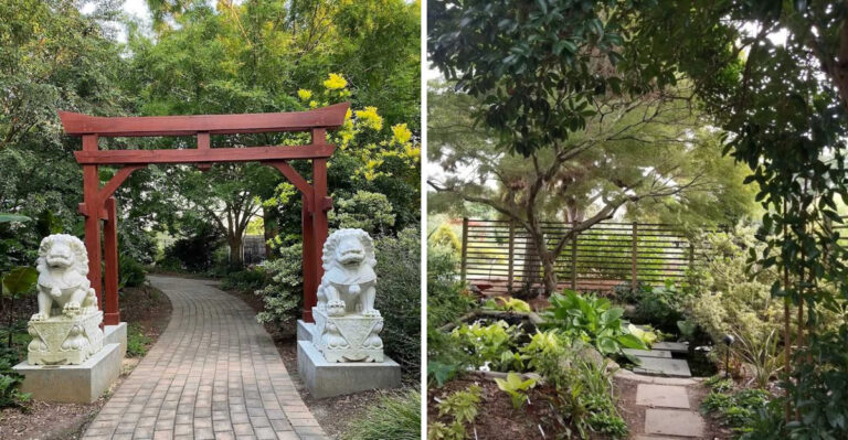 This North Carolina Arboretum Must Be On Your Visit List Next Time You’re In The State