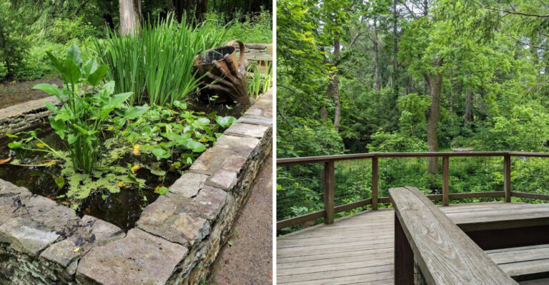 This Peaceful Garden In North Carolina Is Worth The Trip Alone