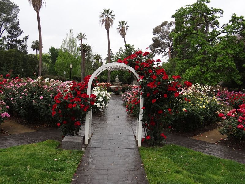 A Rose Garden With A Powerful Message