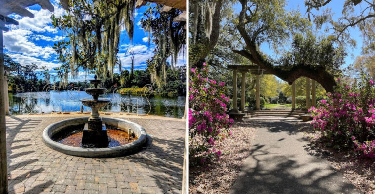 This Stunning Botanical Garden In Wilmington, North Carolina Is Worth The Trip