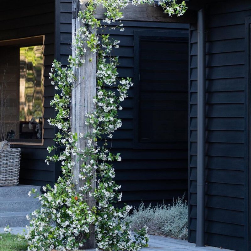 Creates A Calm Relaxing First Impression