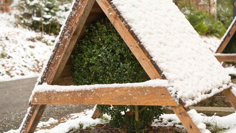 Install Temporary Snow Supports Or Frames