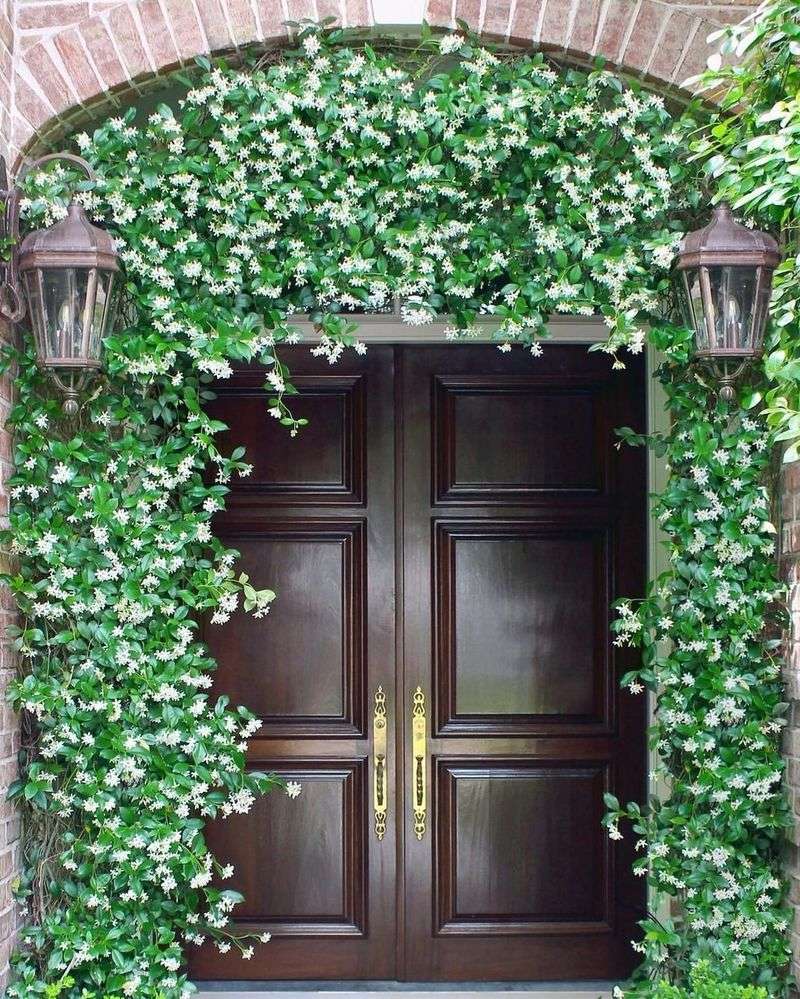 Low Maintenance Once Established