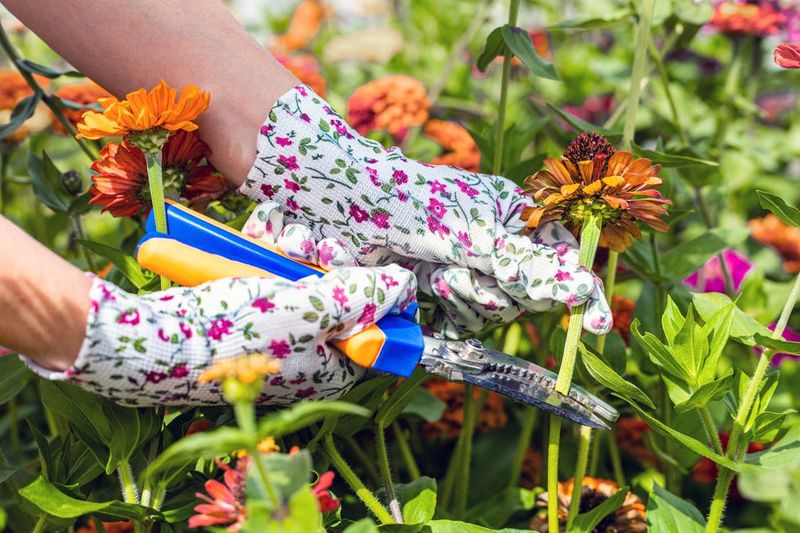 Skipping Deadheading And Maintenance