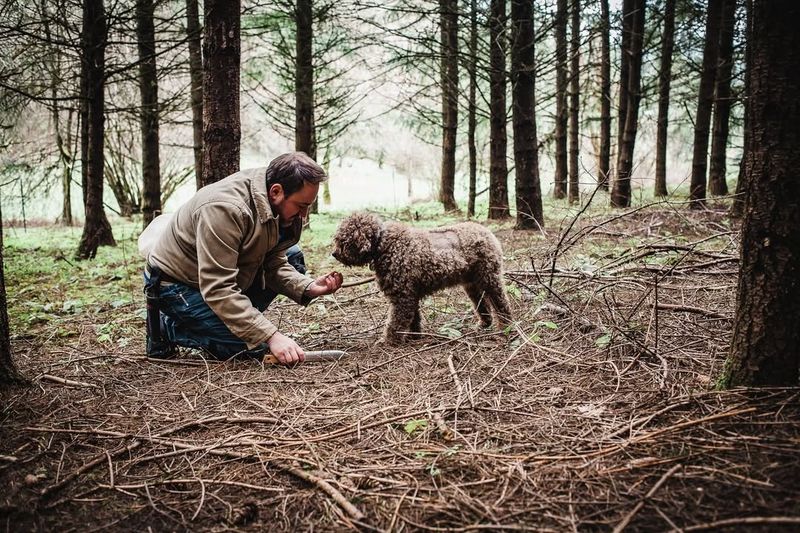 Staying Safe And Legal