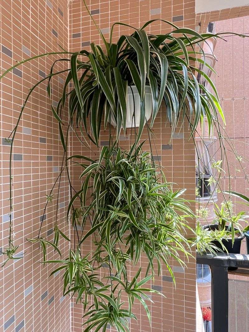 Feed Lightly, But Consistently