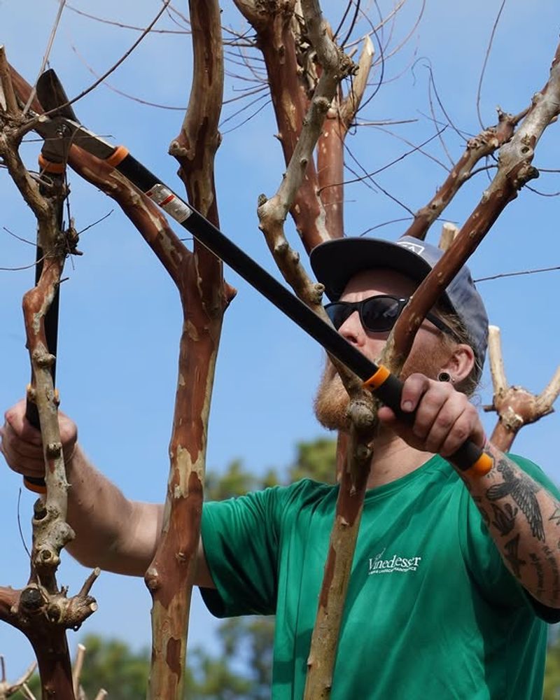 HOA And Local Ordinances Can Override Expectations