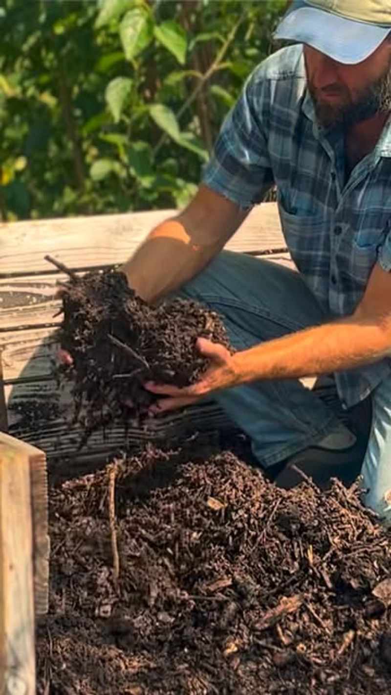 Start A Simple Compost Pile With Everyday Kitchen Scraps