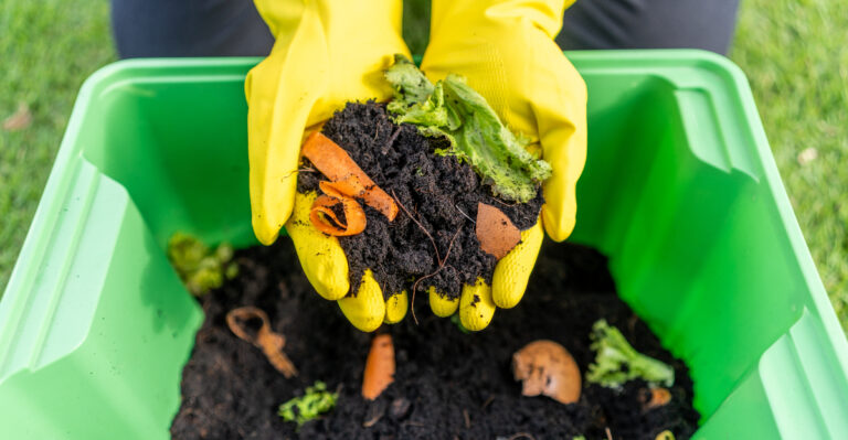 kitchen scraps compost
