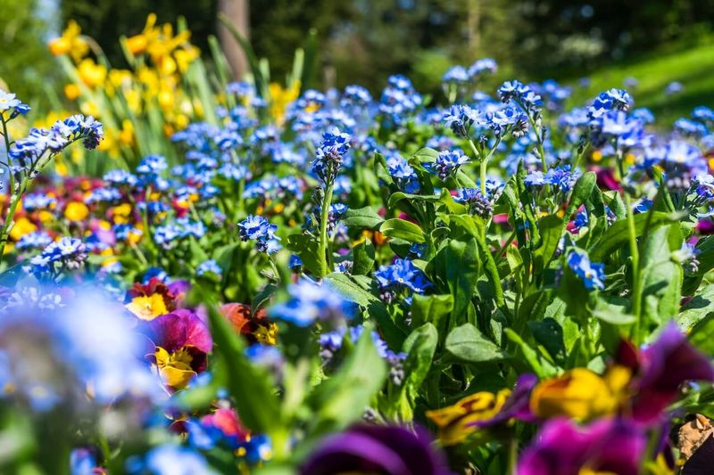 Design Backyard Flower Beds That Stay Colorful Year-Round