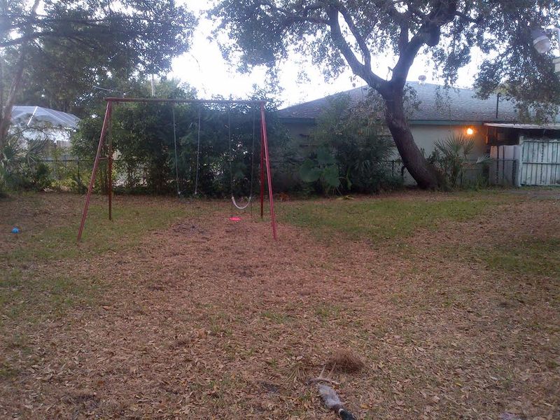 Do Not Let Sandy Soil Fool You