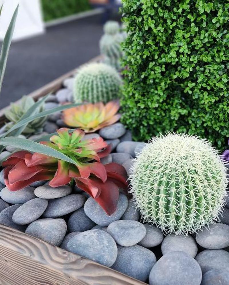 Outdoor Artificial Cacti That Match Arizona's Desert Style