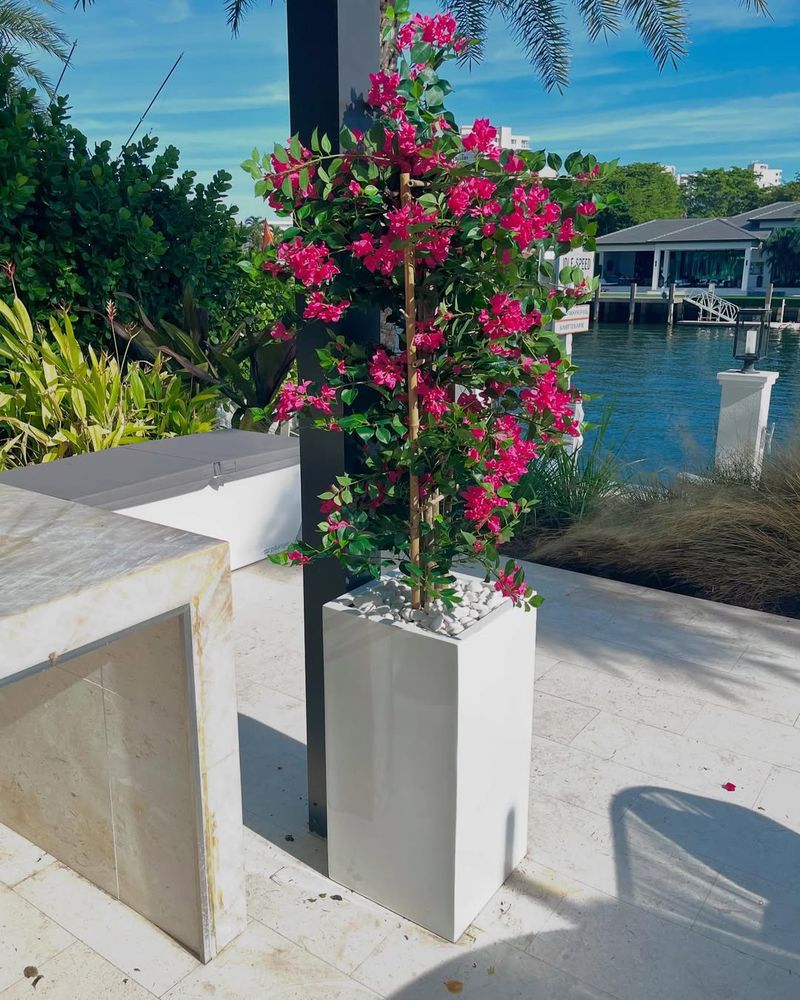 Faux Bougainvillea For Color Without Maintenance