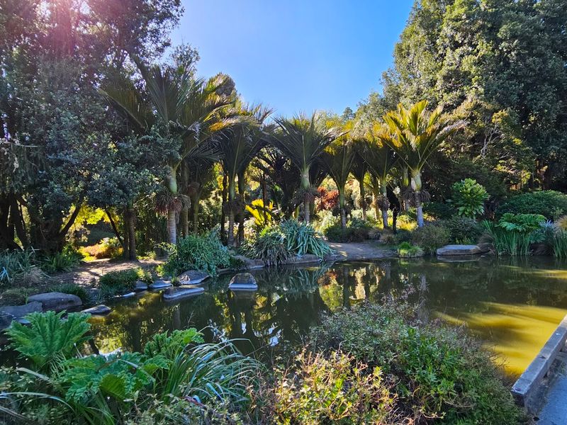 San Francisco Botanical Garden (San Francisco)