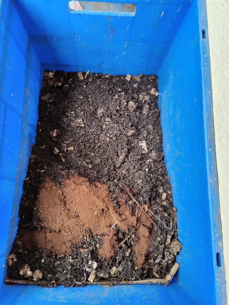 Supercharge Your Compost Fast