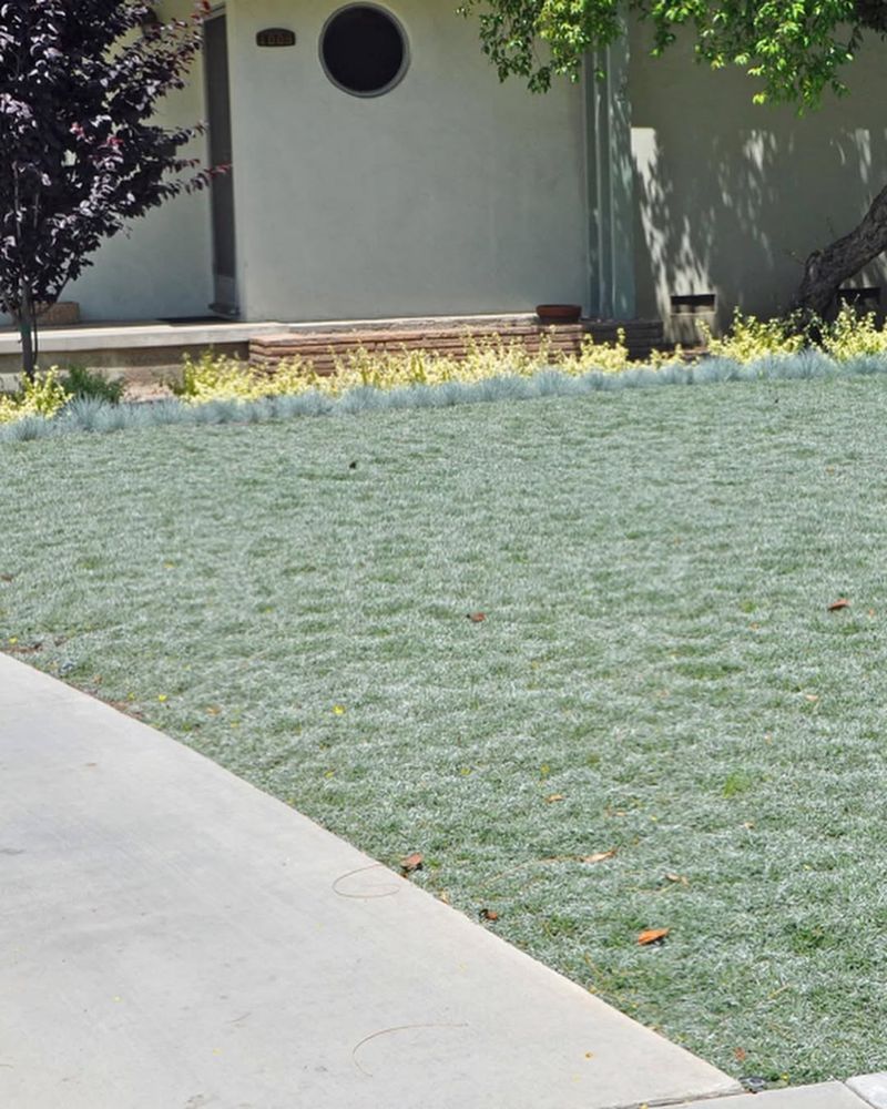 Replace Heat-Holding Gravel With Cooler Ground Covers