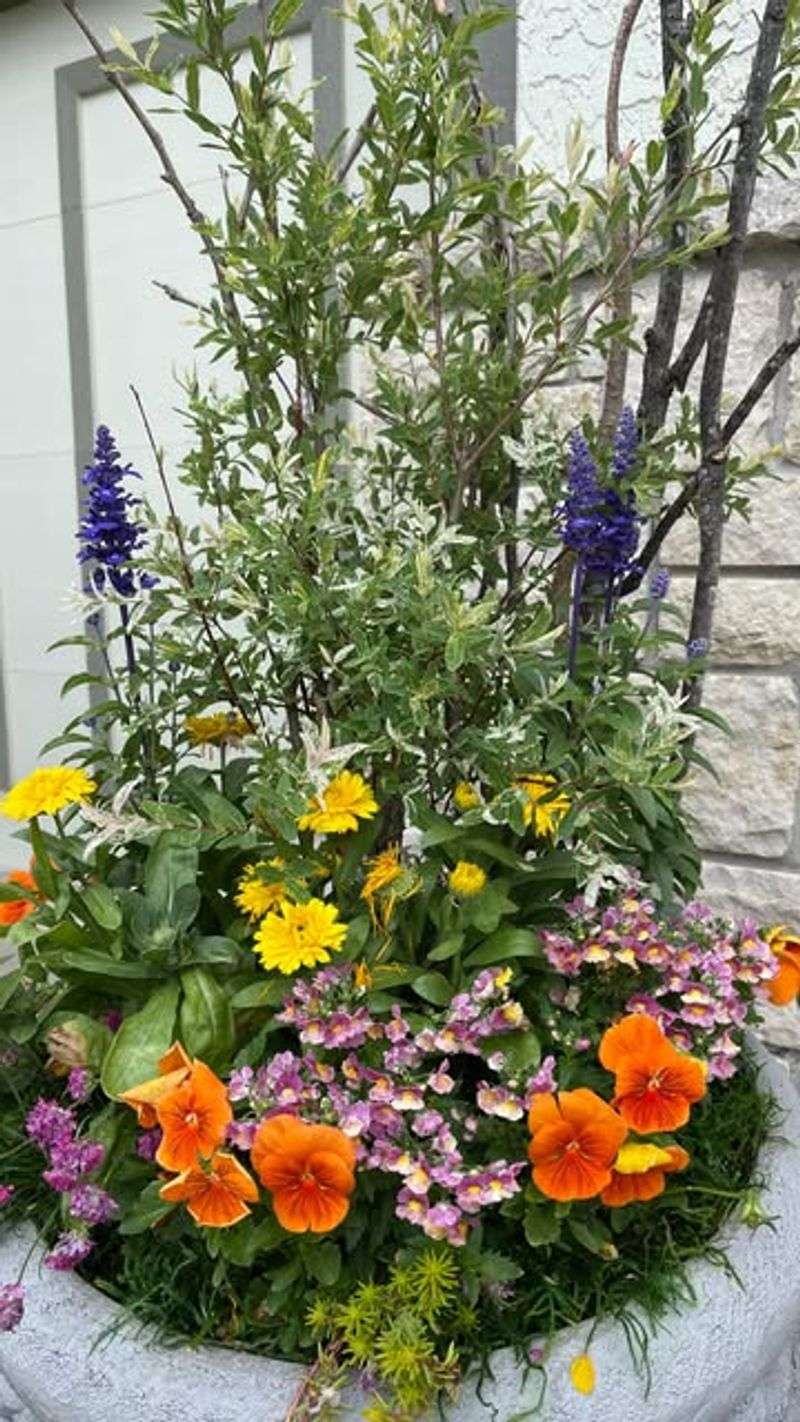 Mix Upright Spikes With Trailing Blooms For Visibility