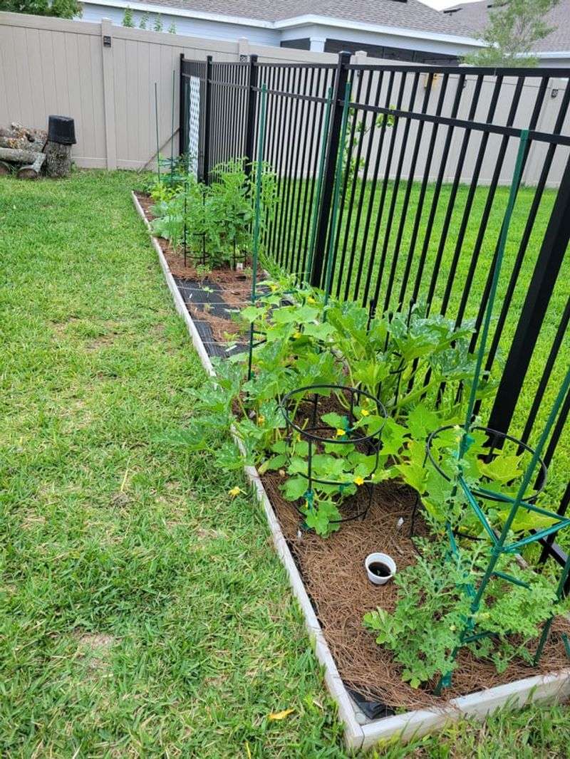 Adjust Your Planting Calendar For Florida