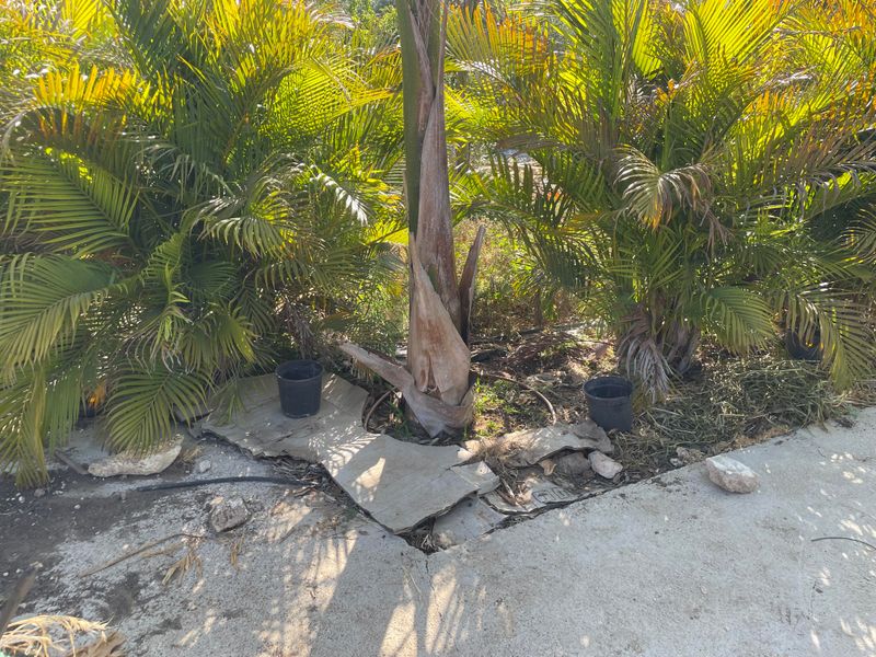 Adjust Spacing To Shape The Visual Impact