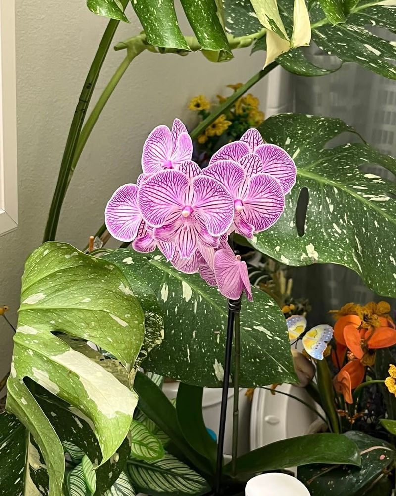 Keep Humidity At The Right Level