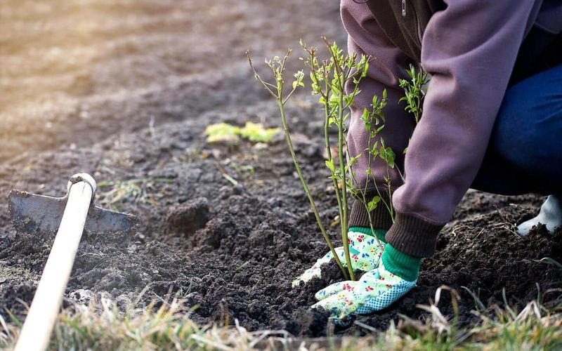 Build Healthy Soil That Breathes And Drains