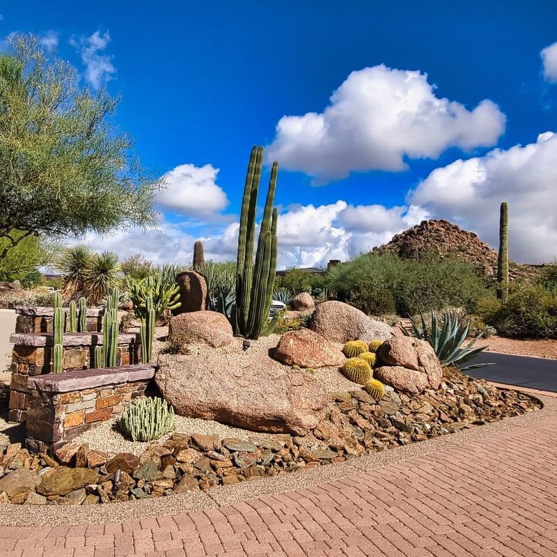 Limit Soil Depth To Prevent Excess Moisture Retention