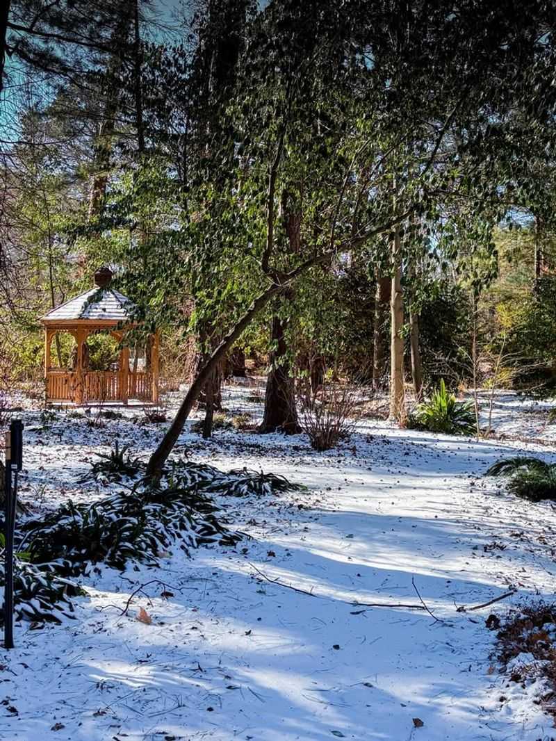 Reduce Snow Cover Pathways