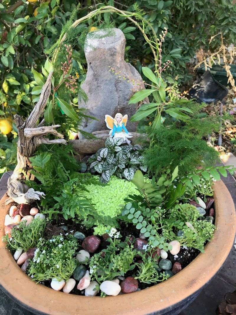 Add Miniature Ferns For Soft Woodland Texture