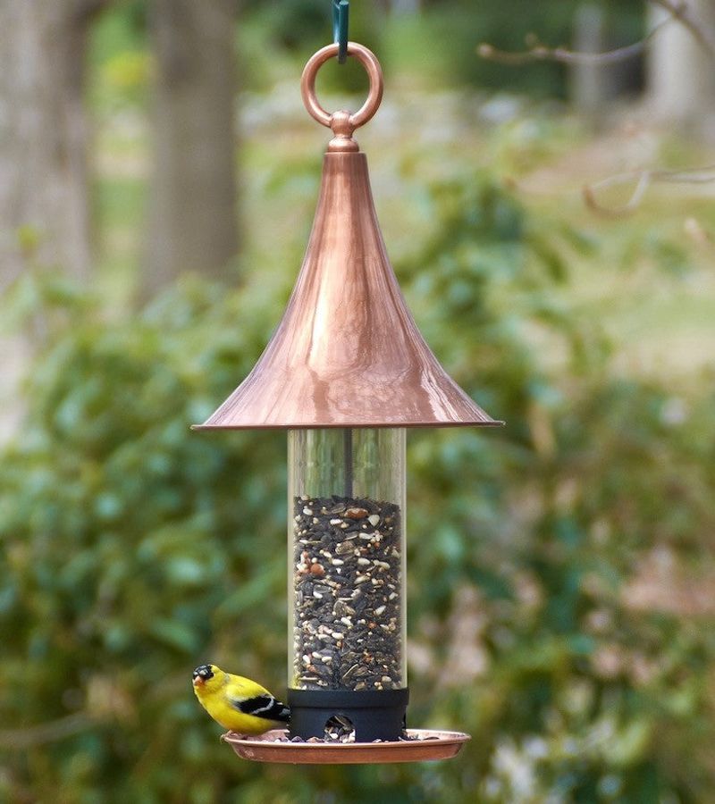 Remove Attractants And Secure Potential Food Sources