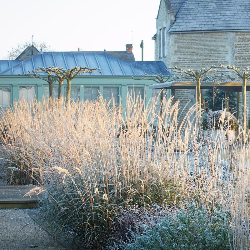 Plant Prairie Grasses For Movement And Year Round Texture