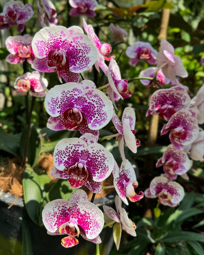 Reduce Fertilizer Until Spring