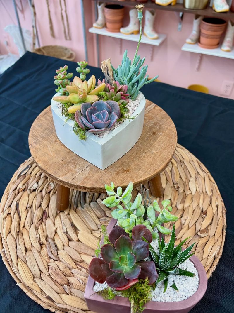 Pair Succulents And Cacti With Heart-Shaped Accents Outdoors