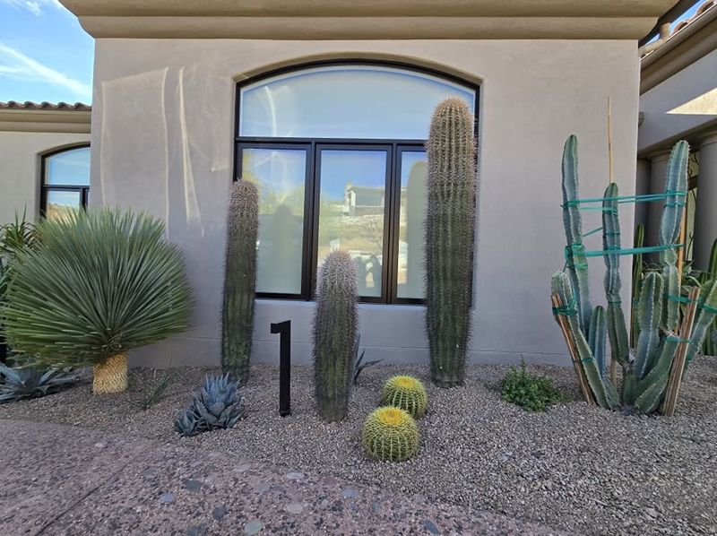 Prepare Soil And Mulch To Retain Moisture