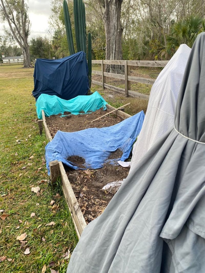 Act Early To Limit Frost Injury