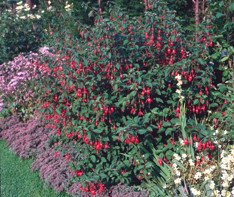 Provide Partial Shade Outdoors