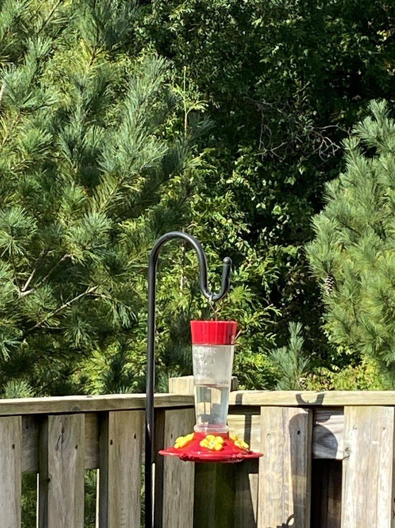 Letting Feeders Go Empty