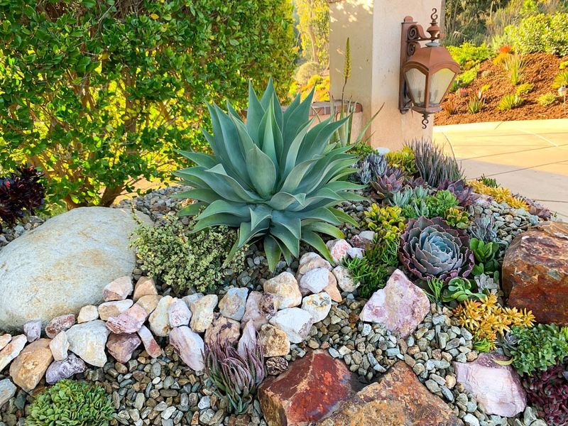 Perfect For Water-Wise Landscapes