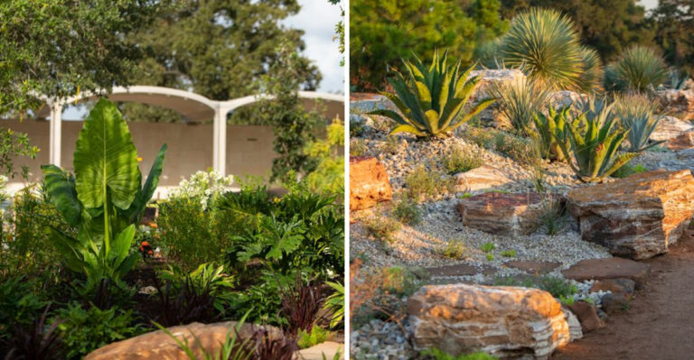 Visit One Of The Texas Newest Major Botanical Gardens In 2026