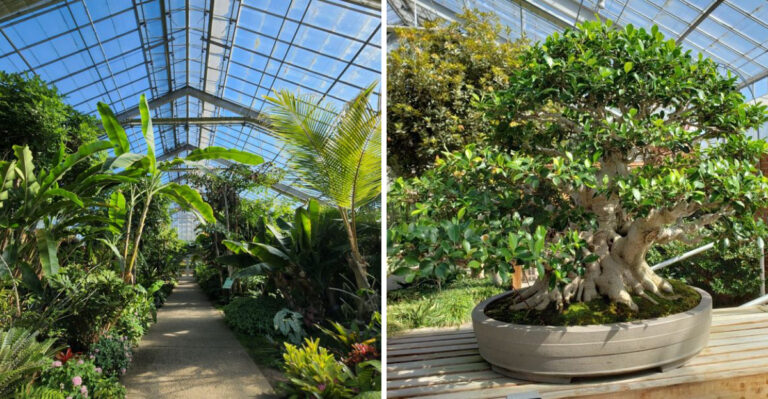 Visit This Gorgeous Botanical Garden In Michigan This February