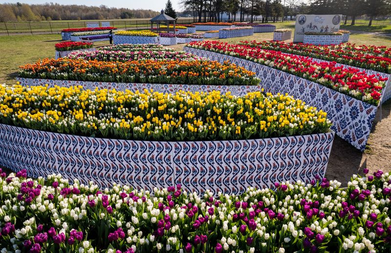 The Tulip Immersion Garden Is One Of The Most Unique Attractions