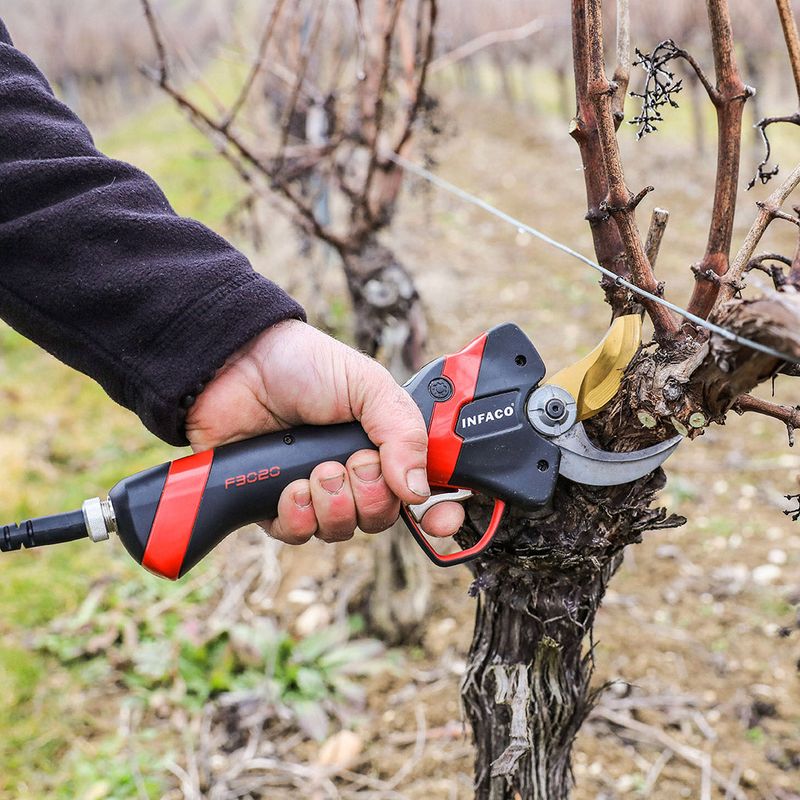 Invest In Sharp, Quality Pruning Tools