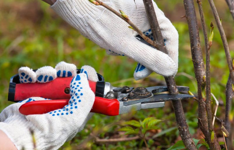 Gradual Pruning Is Better Than Cutting Everything At Once