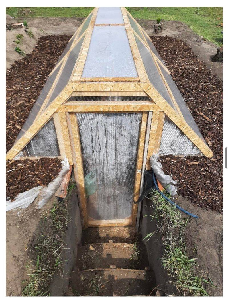 South-Facing Orientation Maximizes Winter Sunlight