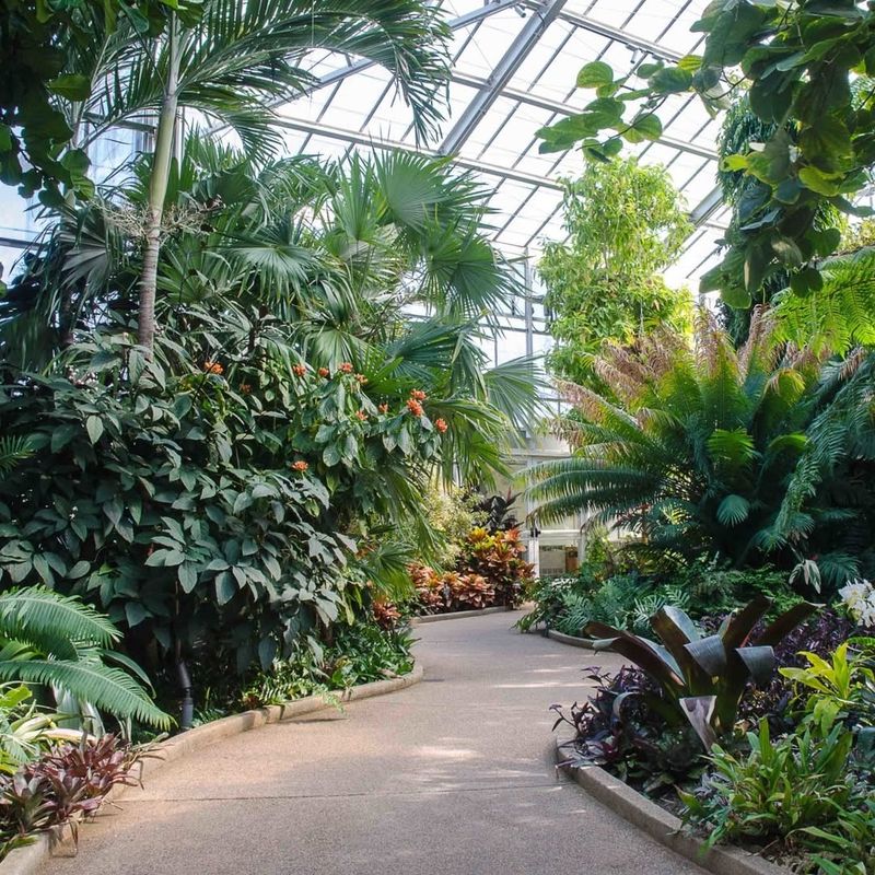 Experience Changing Seasonal Beauty Throughout The Year