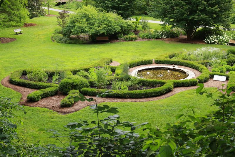 Explore An Impressive Variety Of Plants And Trees