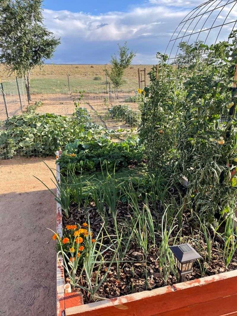 New Moon Periods Are Commonly Used For Soil Prep And Bed Building