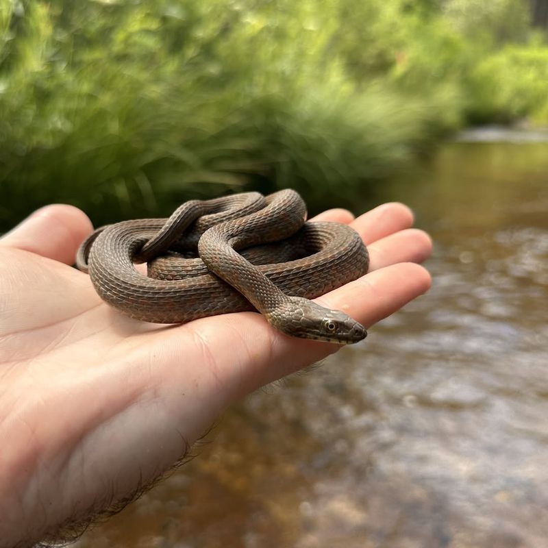 Gardens Near Water Sources