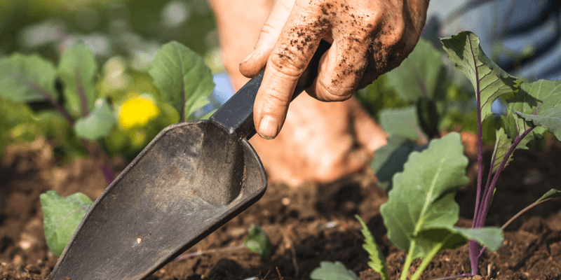 Prep Tools Before Planting Begins
