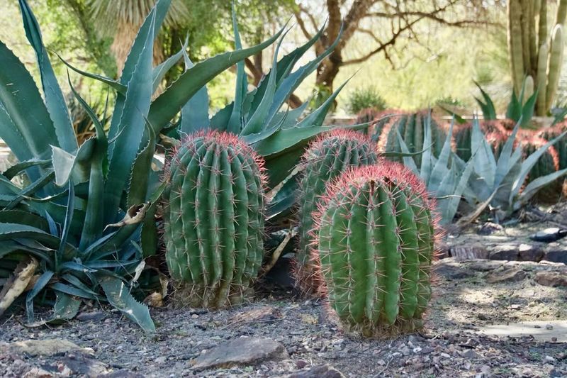 Track Recovery and Adjust Care Through the Summer