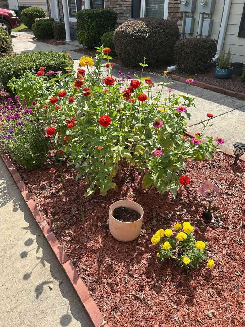 Mulch To Retain Moisture And Reduce Soil Temperature